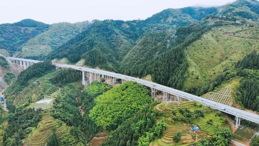 1571099078691995.jpg 1571099078691995.jpg